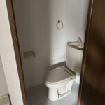 テンカラットシャイン 画像6 テンカラットシャイン 画像6